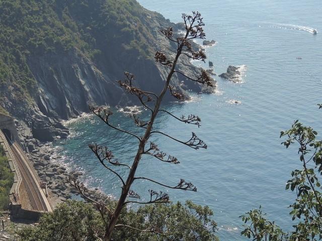 Cinque terre-öböl Vernazza mellett