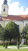 Kép 151