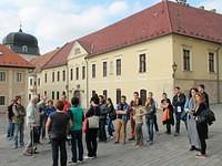 IMG 2263